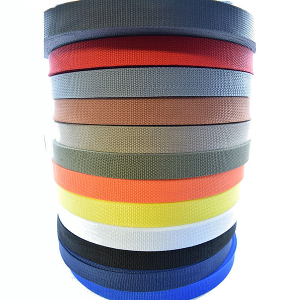 10m Long Polypropylene Webbing Strap Tape